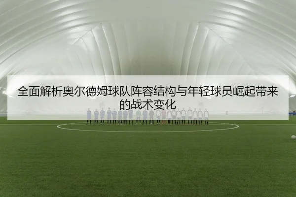 全面解析奥尔德姆球队阵容结构与年轻球员崛起带来的战术变化